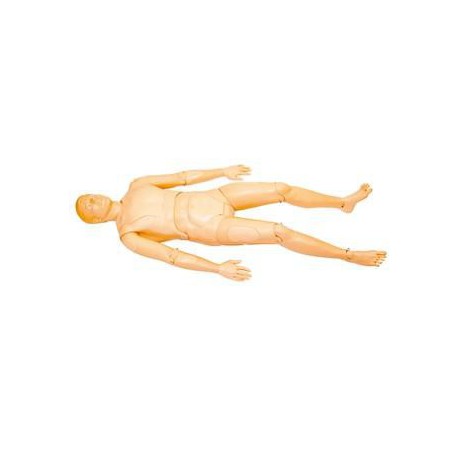 Mannequin Extri Kelly Mannequin Extri Kelly