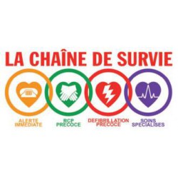 Affiche défibrillateur     LA CHAÎNE DE SURVIE