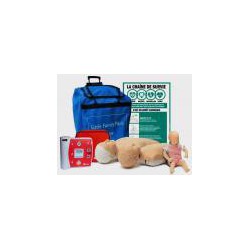 PROMOTION 3 MANNEQUINS ET DEFIBRILLATEUR FORMATION PSC1/SST