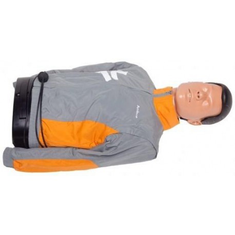 MANNEQUIN AMBUMAN TORSE I MANNEQUIN AMBUMAN TORSE I