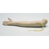 Bras perfusion RESUSCI ANNE