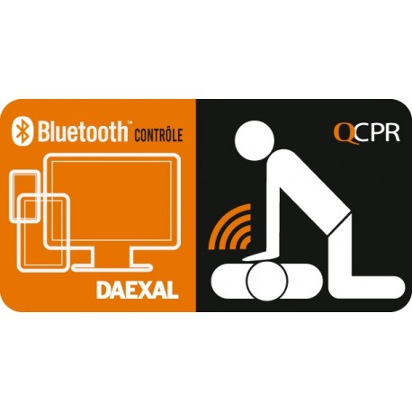 LITTLE ANNE QCPR Kit de réactualisation