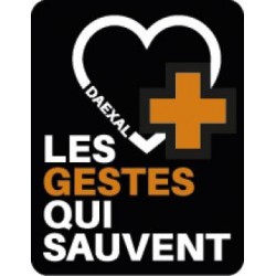 Mini Anne plus + défibrillateur factice (x10)
