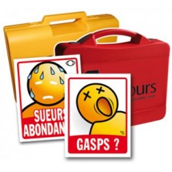 FOR271 - LES 2 LOGIGRAPH PSC1 + LOGIGRAPH MALAISES