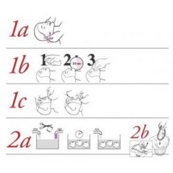 Masque Little junior (x6)