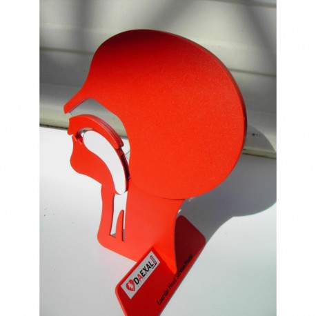 Modéle de tête en coupe