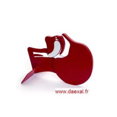Modéle de tête en coupe Modéle de tête en coupe