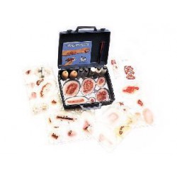 FOR600-Practoplast-Laerdal-Mallette de maquillage