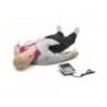 Mannequin de formation RESUSCI ANNE Skillguide