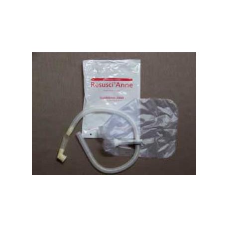 Voies respiratoires Resusci Anne  (x 24)
